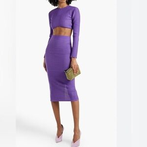Herve Leger Sheer Striped Cropped and Skirt Set in purple size M